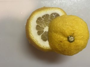 柚子を上から1/3くらいのところで切る