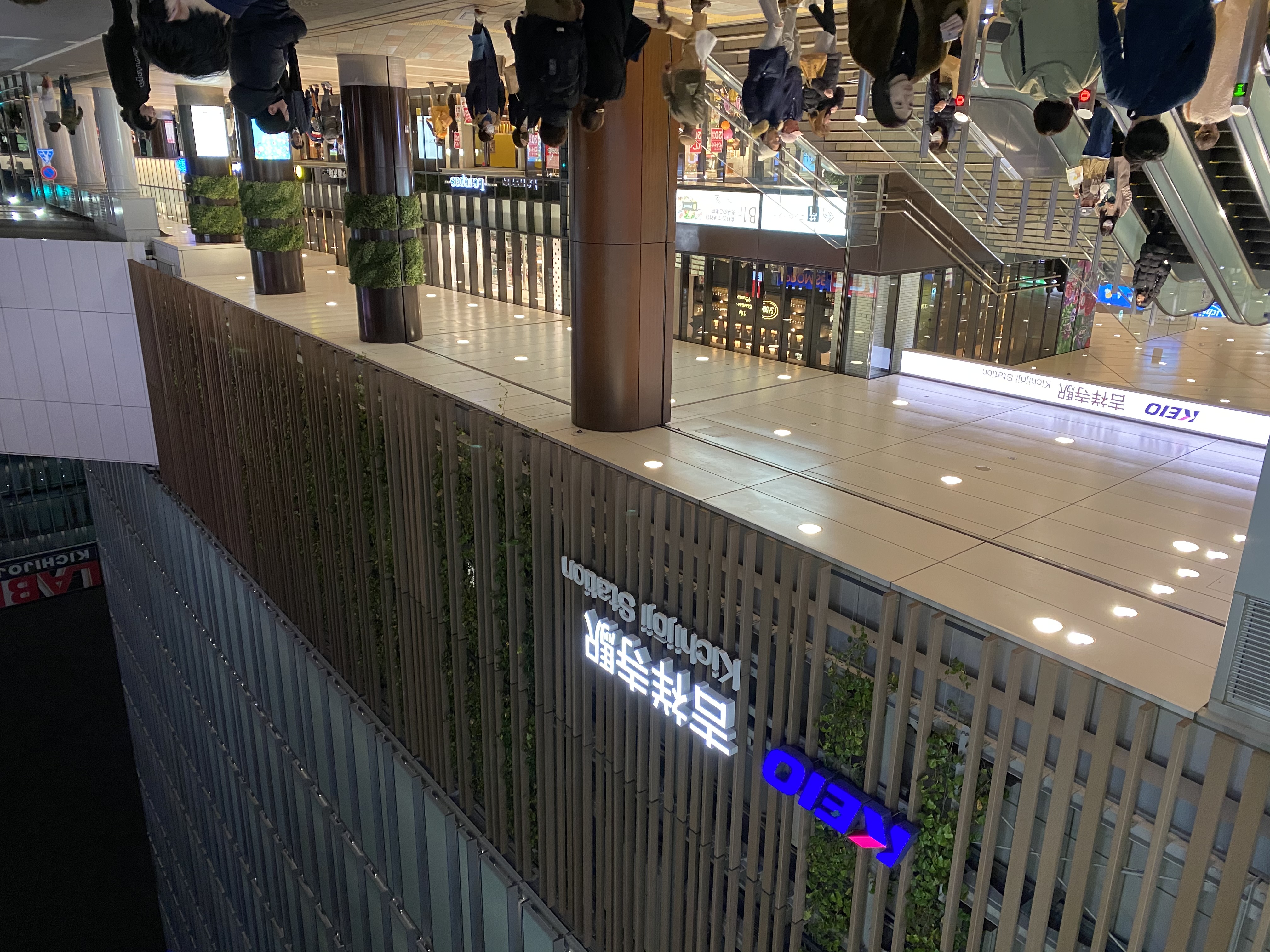 吉祥寺の人波と、意味のない会話。鯛出汁の塩気と豚骨が、心のモヤモヤを洗い流してくれた日。