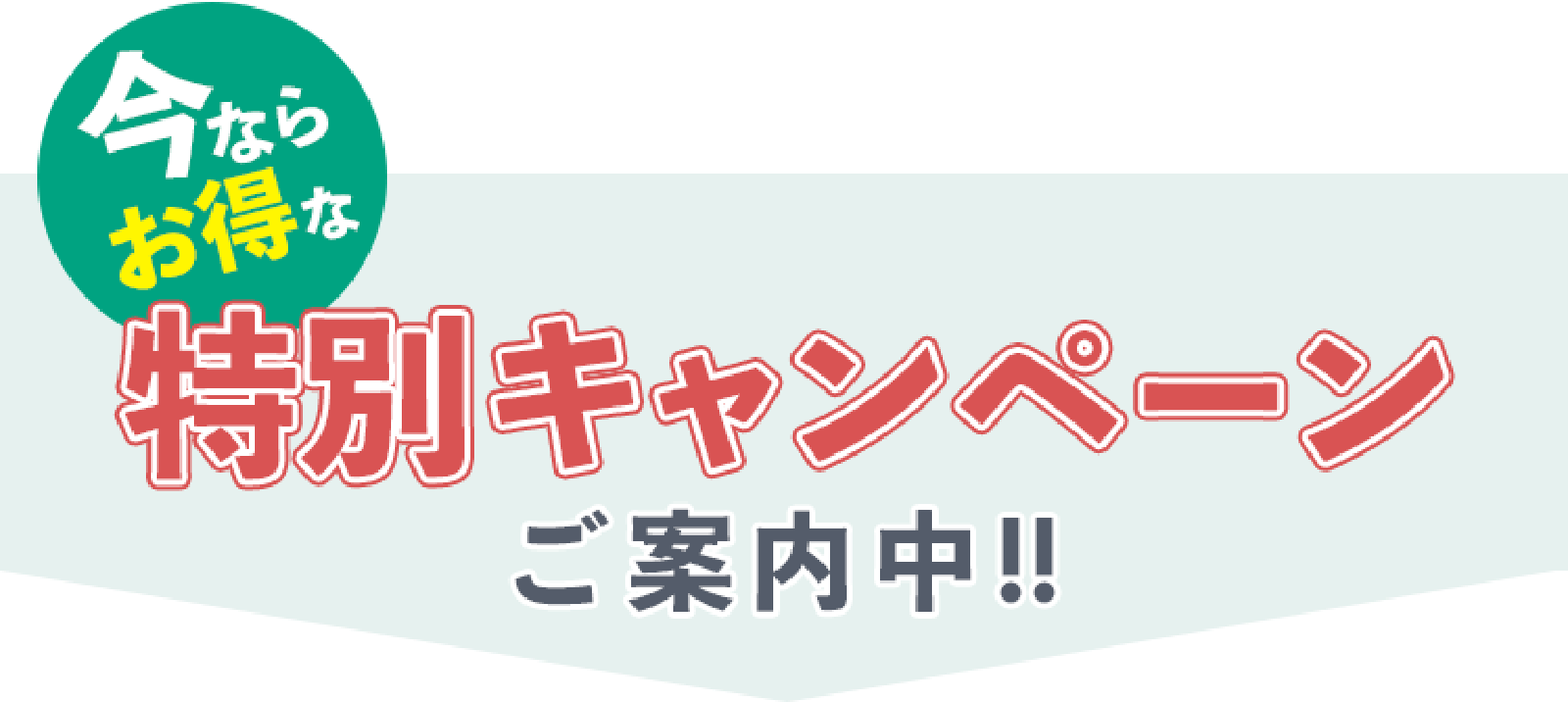 特別キャンペーンご案内中！