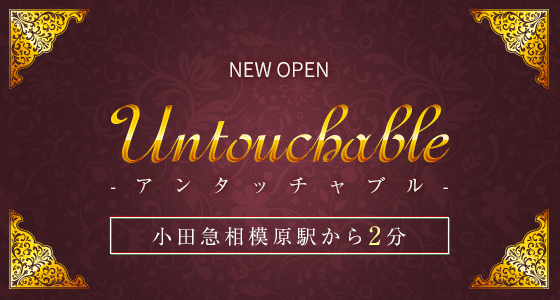 Untouchable（アンタッチャブル）