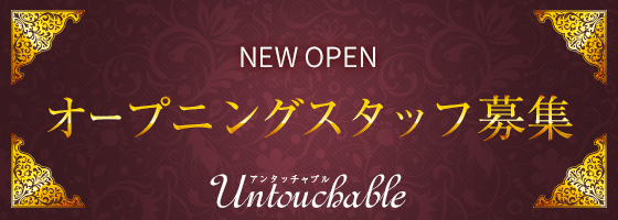 Untouchable（アンタッチャブル）