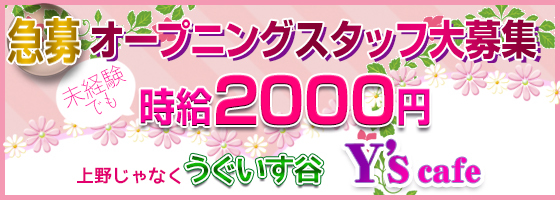 Y`s cafe(ワイズカフェ)