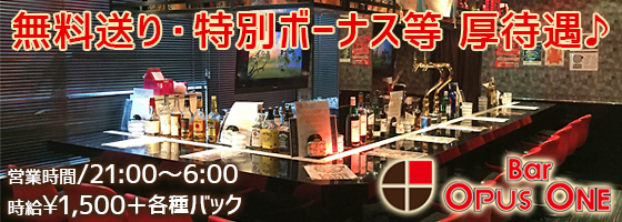 OPUS ONE(オーパスワン)