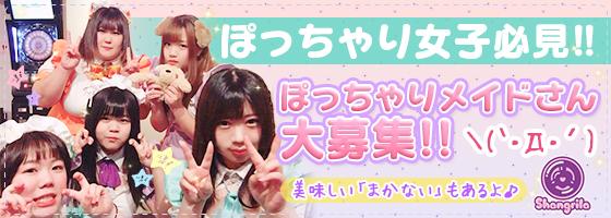 Shangrila-シャングリラ-