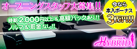 HYBRID(ハイブリッド)