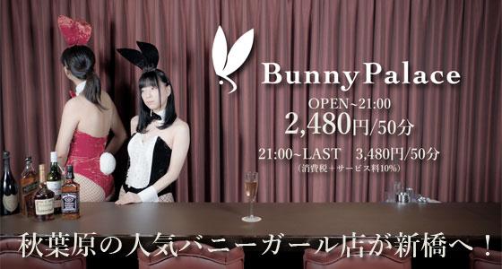 Bunny Palace 新橋店(バニーパレス)