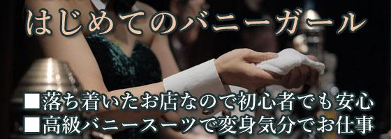 Bunny Palace 新橋店(バニーパレス)