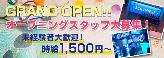 SEA HORSE (シーホース)
