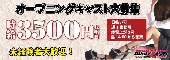 minis cafe 博多美人店（ミニスカフェ）