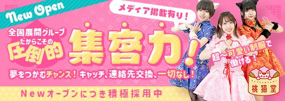 チャイニャカフェバー桃猫堂　歌舞伎町店