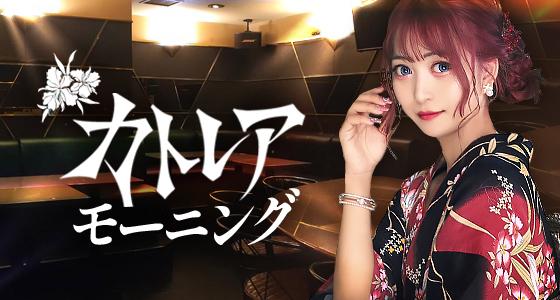 カトレアモーニング