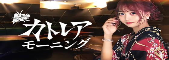 カトレアモーニング