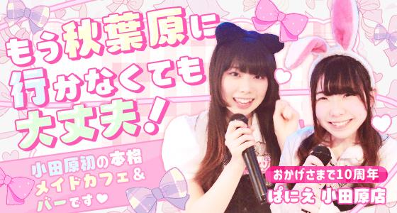 ぱにえ 小田原店